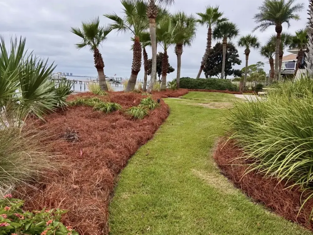 Red straw along the water Dyed red straw beds by Luckie's Pinestraw sweep along a waterfront lawn under palms