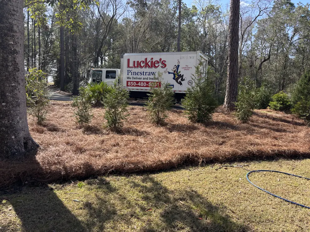 Wide bed of freshly laid straw on a wooded drive, delivery truck waiting behind