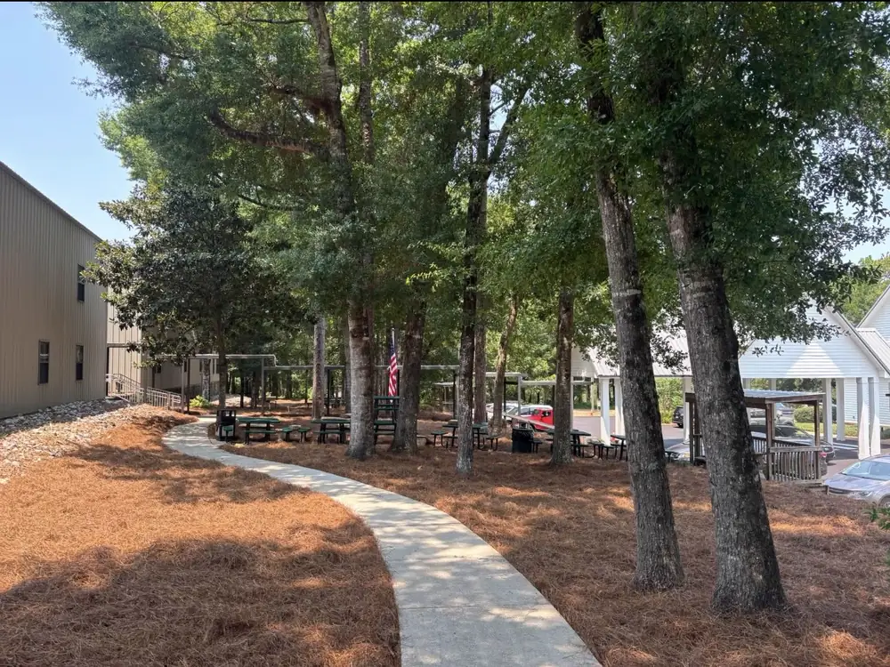 Straw beds Luckie's Pinestraw laid curving beside a shaded campus walkway and picnic tables