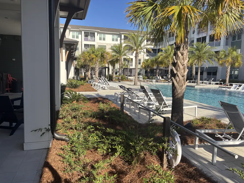Straw-covered beds and low shrubs framing a palm-lined apartment pool courtyard