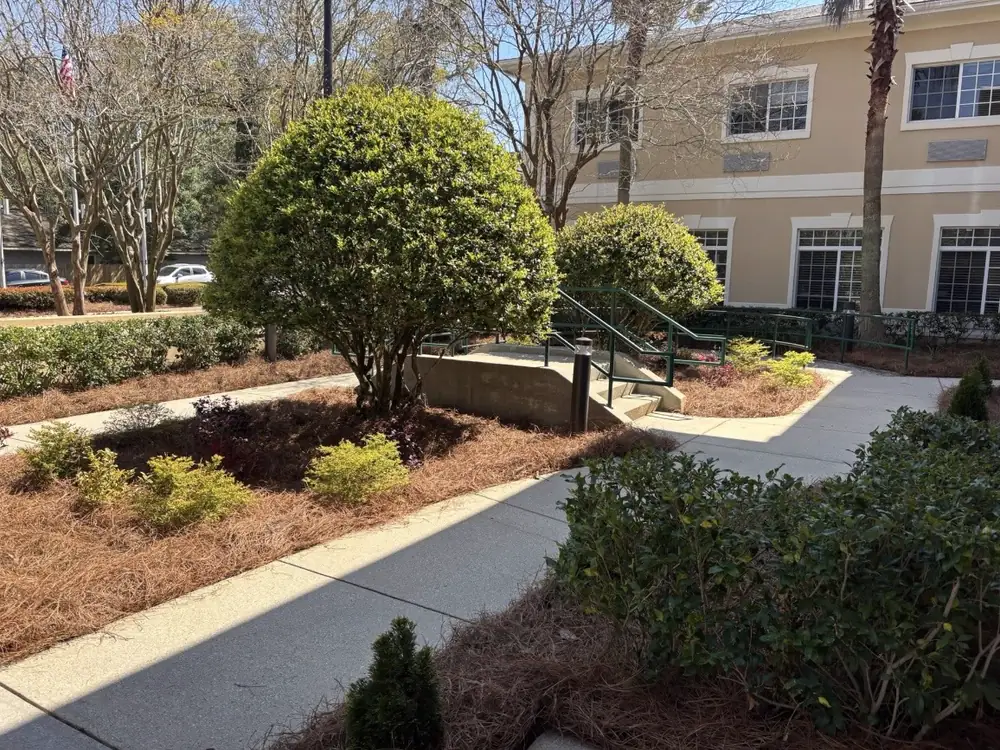 Neatly strawed beds wrapping sidewalks and a handrail ramp at an office entrance